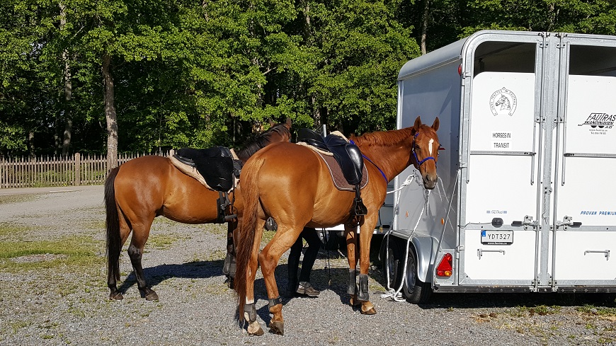 Vid Linnes Hammarrby